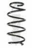 SPIDAN 86695 Coil Spring
